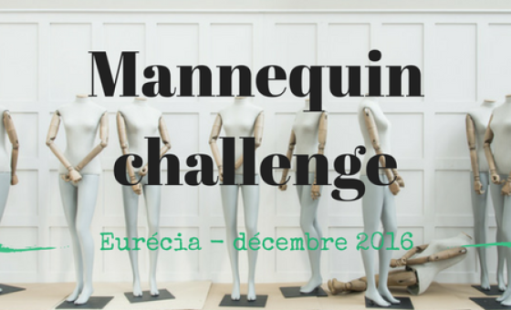 https://www.eurecia.com/sites/default/files/styles/header/public/thumbnails/image/mannequin_challenge.png